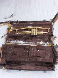 Musica Olycksskydd